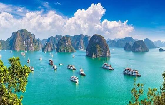 Ha Long Bay 2D1N Cruise